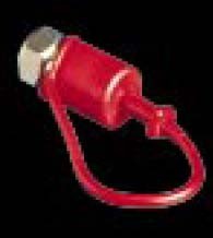 A12DC - ISO A Series - Two Way Shut-Off - Plug Dust Cap - Body Size: 3/4 in. - Thread Size: 3/4 FPT