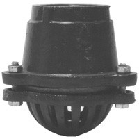 # DIXDFVS35 - Cast Iron Threaded Foot Valves - Complete Assembly Threaded - Painted Cast Iron - 3 in.