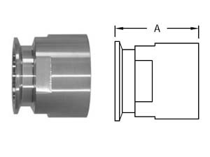 # SAN22MP-G10050 - Clamp x Female NPT Adapters - 304 Stainless Steel - Tube OD: 1 in. - Thread Size: 1/2 in.