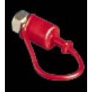 A12DC - ISO A Series - Two Way Shut-Off - Plug Dust Cap - Body Size: 3/4 in. - Thread Size: 3/4 FPT