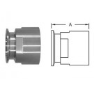# SAN22MP-G200100 - Clamp x Female NPT Adapters - 304 Stainless Steel - Tube OD: 2 in. - Thread Size: 1 in.