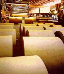 paper pulp industrial hoses